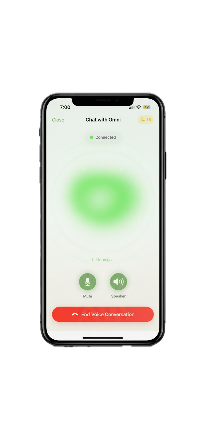 Voice Support Interface